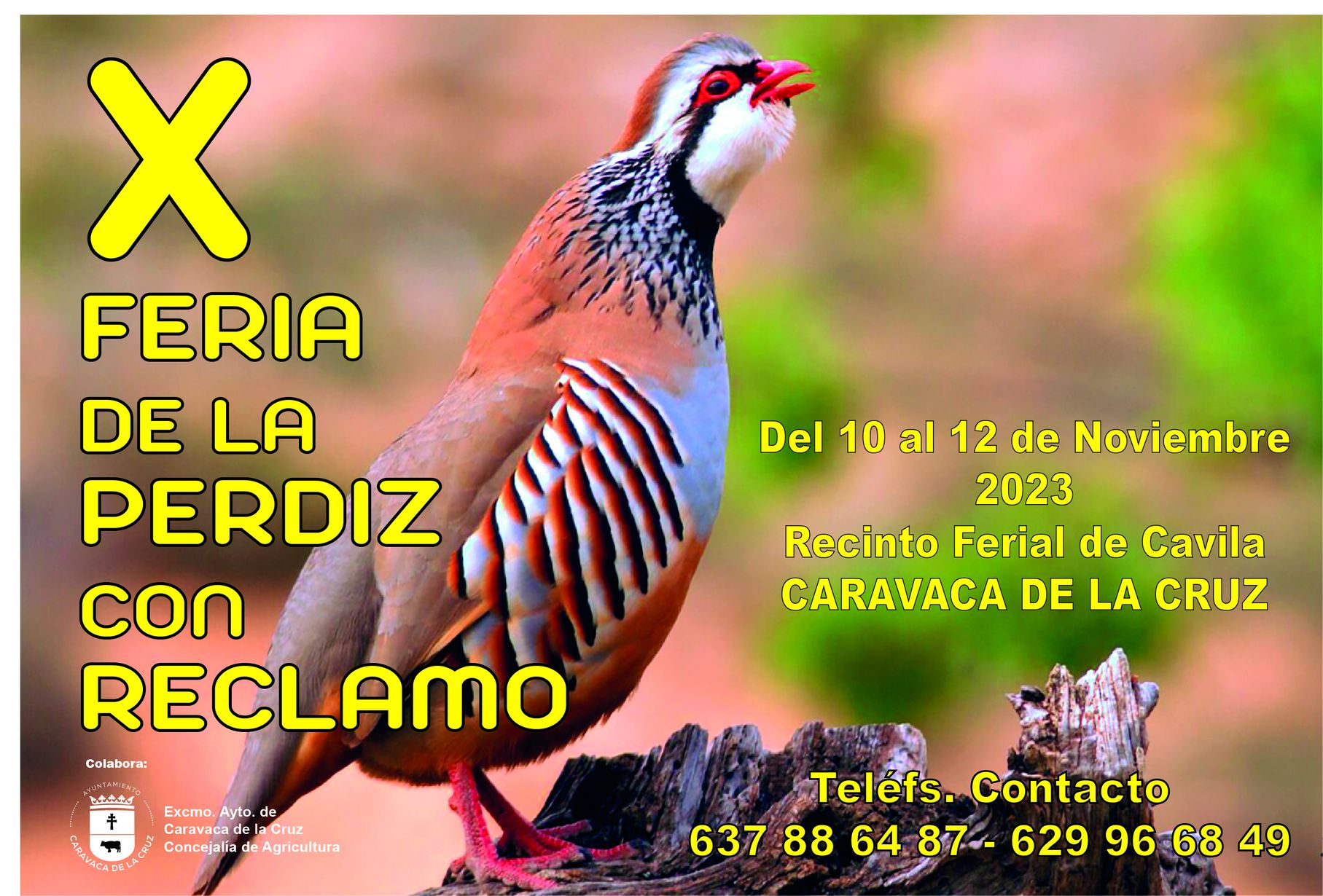 X FERIA DE LA PERDIZ CON RECLAMO