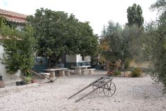 Casa reina