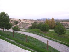 Las Oicas