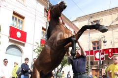 Fiestas de Mayo