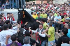 Fiestas de Mayo