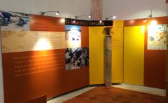 Museo de la Soledad. Museo Arqueológico