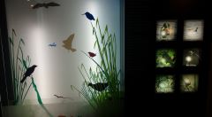 Museo de interpretación de la naturaleza
