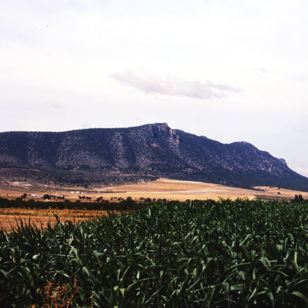 Sierra de Mojantes