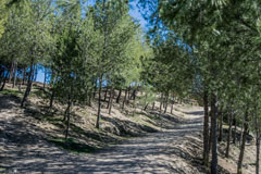 Fuentes del Marqués