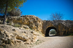 Fuentes del Marqués