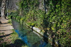 Fuentes del Marqués
