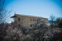 Fuentes del Marqués