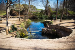 Fuentes del Marqués