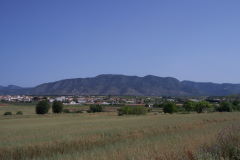 Barranda