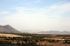 Caneja