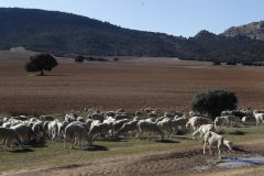 La Junquera - Moralejo