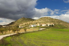 Los Royos