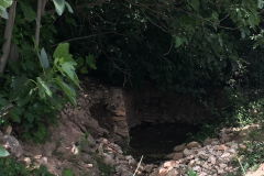 Navares