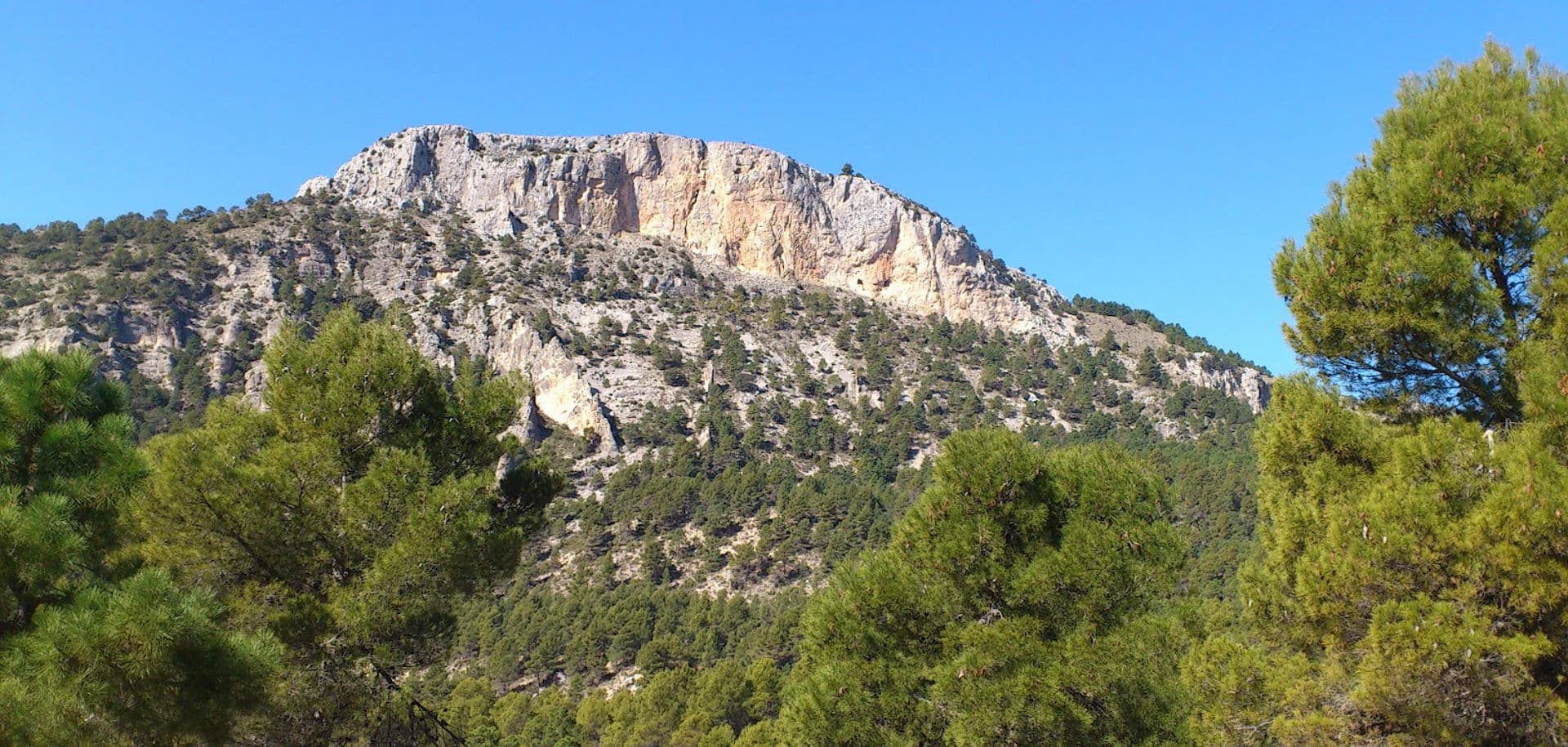 caravaca-pena-rubia